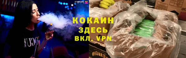 прущие грибы Балабаново