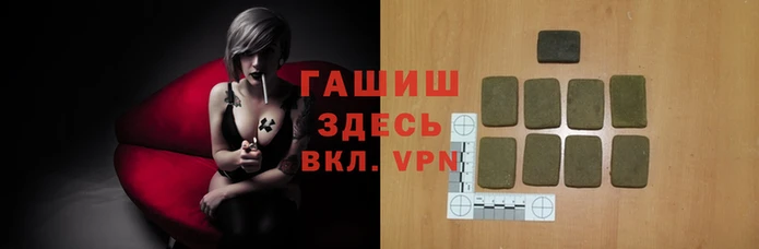 прущие крисы Белокуриха