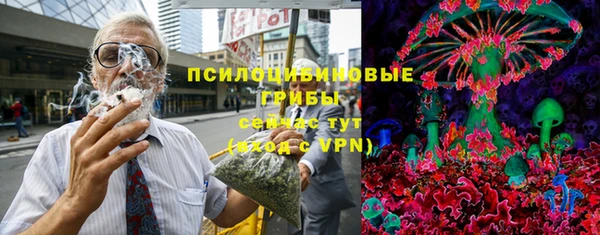 прущие крисы Белокуриха
