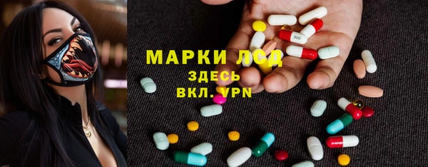 прущие грибы Балабаново