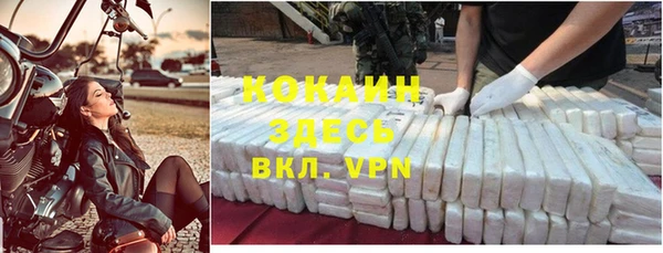 прущие крисы Белокуриха