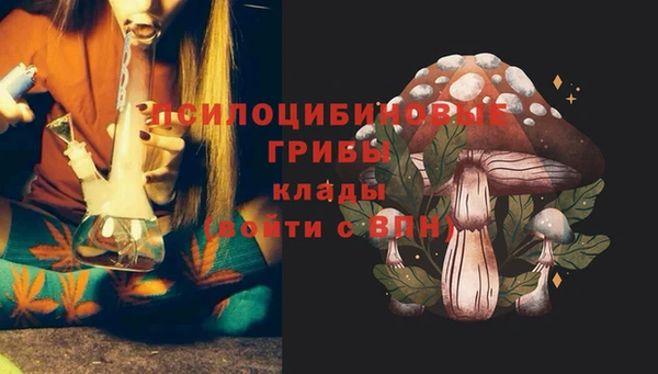 МДПВ Беломорск